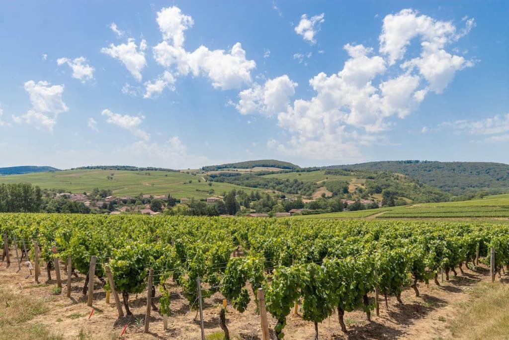 Cabana & Le Gite De Domange - Proche Macon Igé Dış mekan fotoğraf